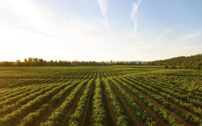 What is bequest price in Estate Planning