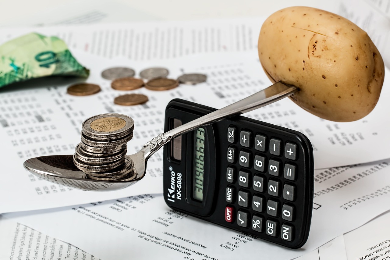 A curator bonis manages the financial affairs of those who are incapable of doing so themselves