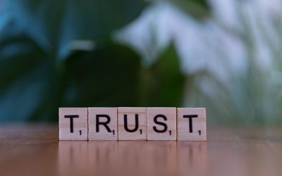 Trustees’ responsibilities in South Africa